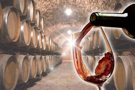 Interno della cantina con esposizione di bottiglie di vino, olio e formaggi locali