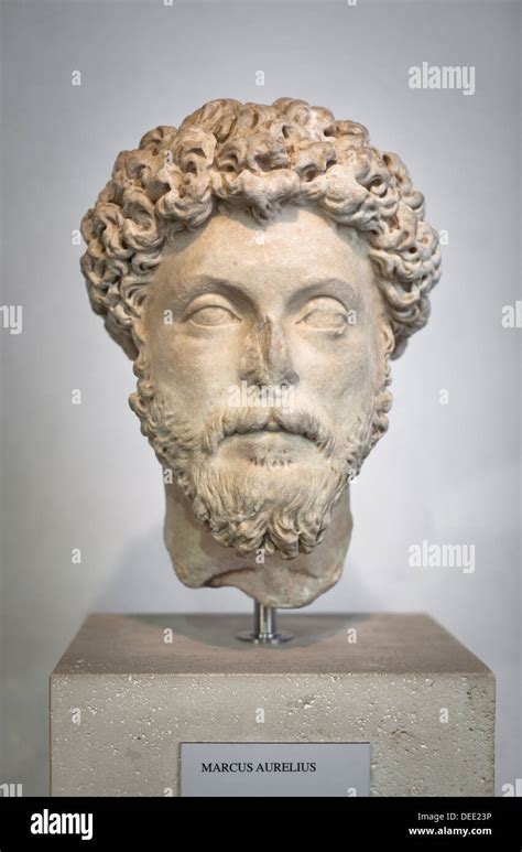 Ritratto di Marco Tesei