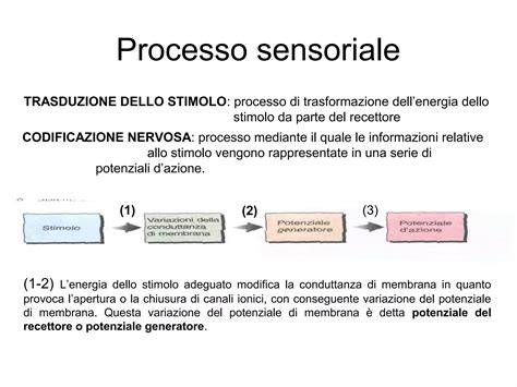 Schema che illustra l'interazione tra corpo, tecnologia e percezione