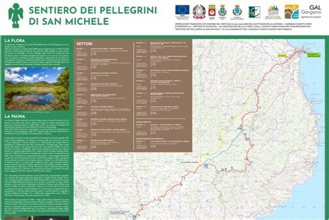 pellegrini in cammino verso Monte Berico