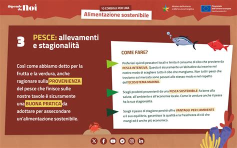 Infografica sulla pesca sostenibile e la cucina circolare