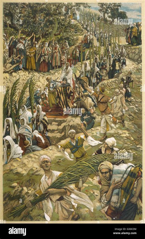 illustrazione di Gesù a dorso d'asino accolto dalla folla con le palme