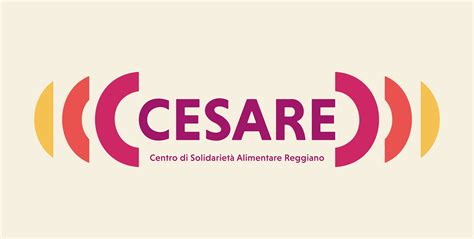 Infografica sulla rete di supporto alimentare e il Progetto CESARE a Reggio Emilia