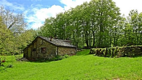 Il bivacco Eremo del Viandante immerso nella foresta