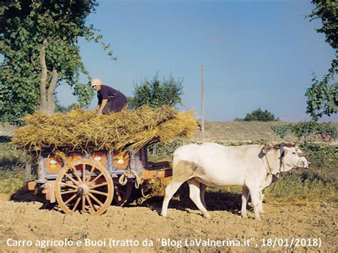 Illustrazione di un carro trainato da buoi che si ferma in un luogo sacro