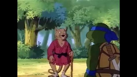illustrazione delle Tartarughe Ninja e Maestro Splinter