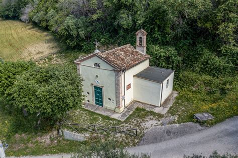 Foto della Chiesetta della Madonna delle Grazie e della pineta circostante