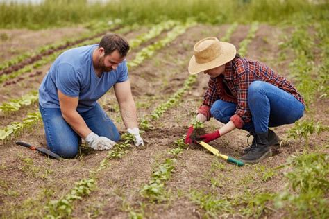 Antica foto di agricoltori al lavoro in campagna o di un consorzio agrario