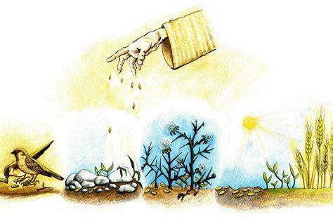 Illustrazione della Parabola del Seminatore che sparge il seme su vari tipi di terreno.