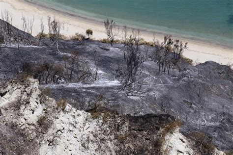 Paesaggio siciliano dopo un incendio