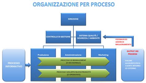 Schema sulla struttura e i processi della EU Customs Authority