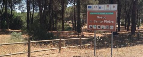 Mappa storica dell'estensione del Bosco di Santo Pietro