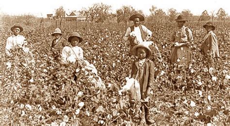 Schiavi africani al lavoro nelle piantagioni americane che cantano