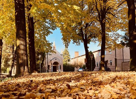 Immagine dei Santuari Antoniani di Camposampiero