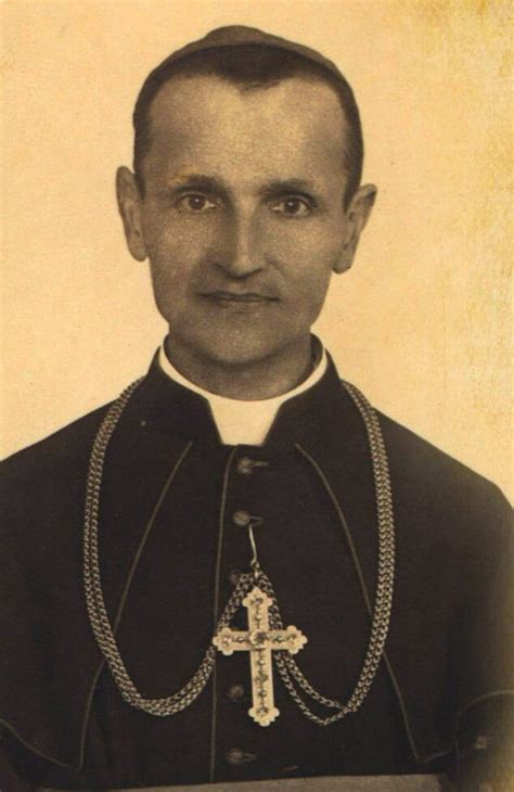 Ritratto del Servo di Dio Vescovo Janez Francisek Gnidovec CM
