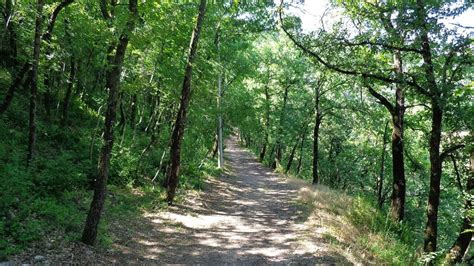 Sentiero nel bosco lungo il percorso Tivoli-San Vittorino