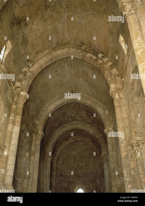 Dettaglio dell'ovale centrale nella volta a botte della navata