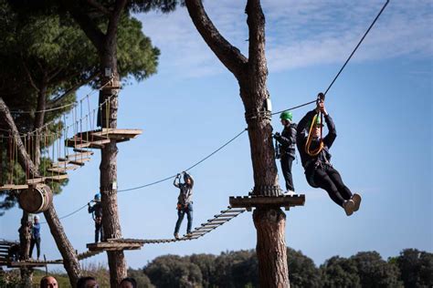 Collage di immagini che mostrano diverse attività estive per ragazzi: parco a tema, parco avventura, canoa, visita a un museo