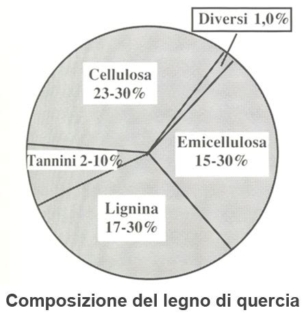 Infografica: composizione chimica e quantità del liquido del Cristo Risorto
