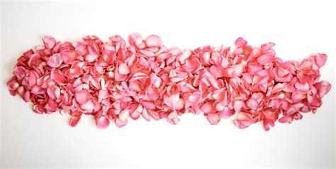 Foto di petali di rosa freschi e acqua distillata in una pentola per la preparazione casalinga