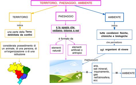 Schema che illustra la differenza tra l'uomo