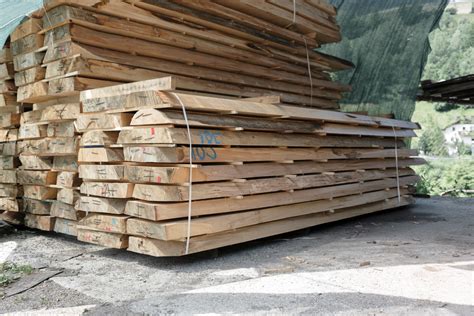 Tavola comparativa di campioni di legno di tiglio, acero, cirmolo e ulivo con le loro venature tipiche