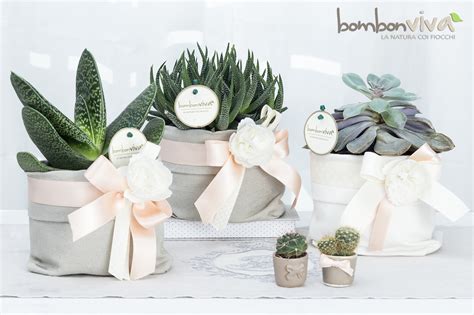 piantine grasse in piccoli vasi come bomboniere