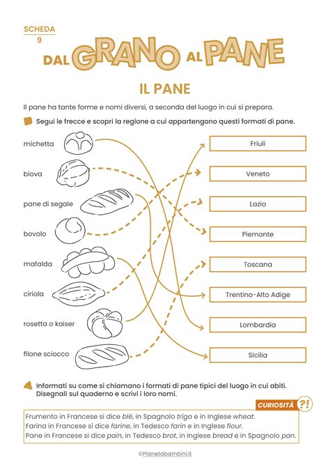 Schema illustrativo della filiera solidale: dal grano al pane, passando per la scuola di panificazione in Camerun