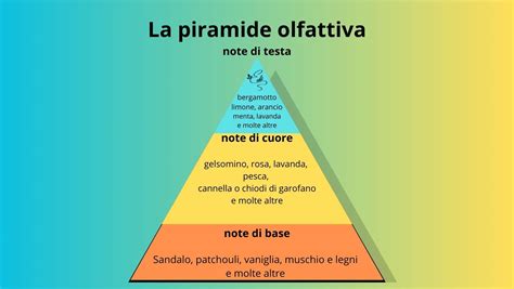 Grafico che illustra le note aromatiche principali della birra: amaretto, albicocca, miele e spezie