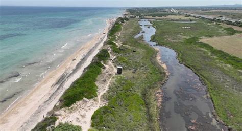 Foto panoramica delle dune costiere e delle spiagge tra Marina di Pulsano e Marina di Lizzano