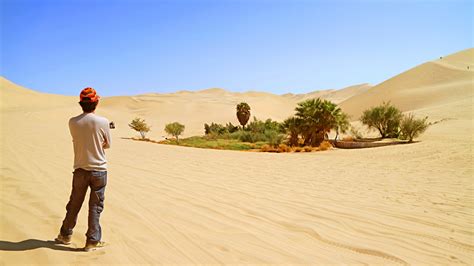 Illustrazione di Sant'Antonio d'Egitto che vive in solitudine nel deserto.