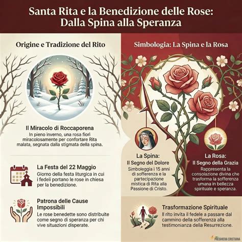Rosa sbocciata in inverno, simbolo di Santa Rita