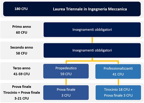 Schema della struttura del corso di laurea in medicina dell'USC
