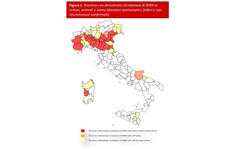 Mappa o infografica che mostra la diffusione degli istituti delle suore di Ivrea sul territorio italiano