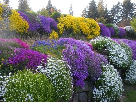 Giardini all'italiana con aiuole fiorite