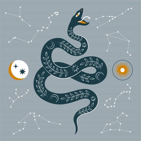 Dettaglio iconografico dell'Immacolata con i simboli: serpente, luna, stelle