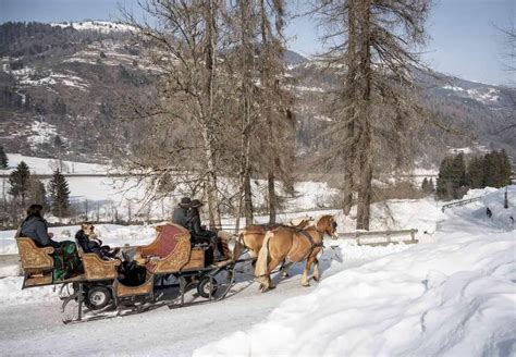 illustrazione di slitta con cavalli nella neve