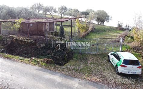 Rustici tradizionali friulani con ampio terreno annesso
