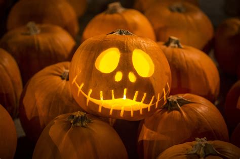 foto di zucche intagliate per Halloween