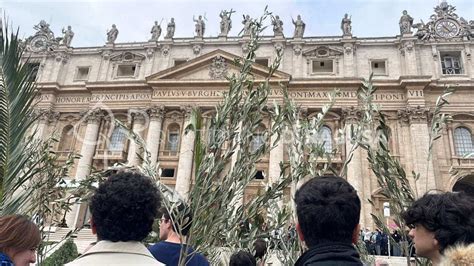 immagini della Domenica delle Palme in Piazza San Pietro con Papa Francesco e i giovani