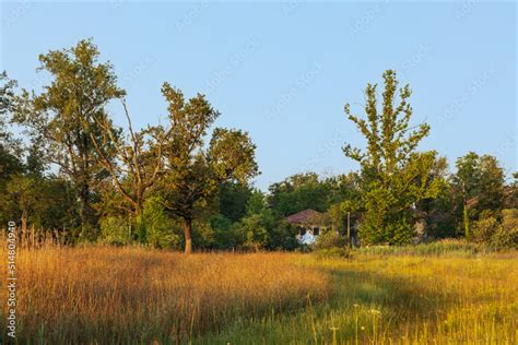 Foto di un fabbricato cielo-terra immerso nel verde con terreno coltivato