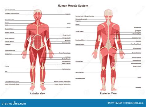 Schema dettagliato dei giri per la croce del rosario