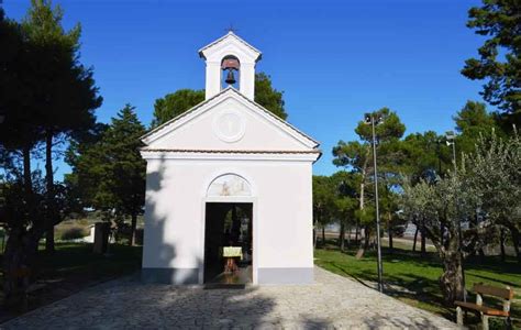 Olmo di Piana Romana dove Padre Pio ricevette le stimmate
