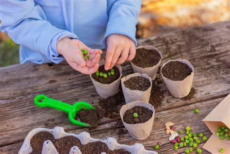 Illustrazione per bambini che seminano sorrisi o fiori