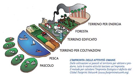 Infografica sulla sostenibilità ambientale e l'impronta ecologica