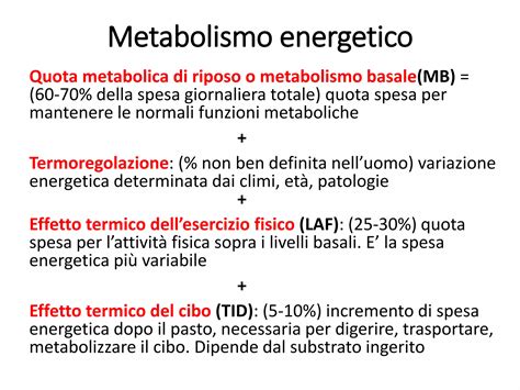 infografica metabolismo energetico durante esercizio fisico