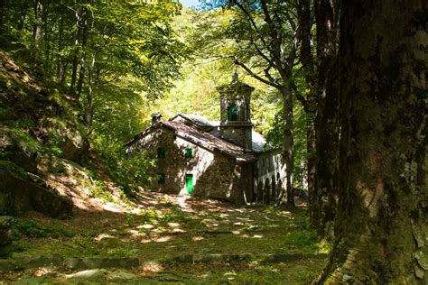 Statua della Madonna del Faggio in una fioriera, appoggiata al tronco del vecchio faggio conservato
