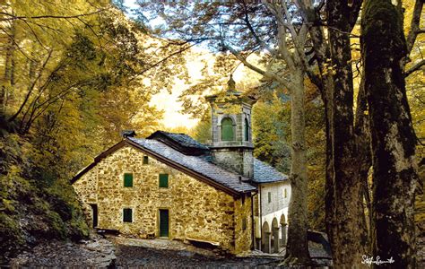 Interno del Santuario della Madonna del Faggio, con affresco e presbiterio