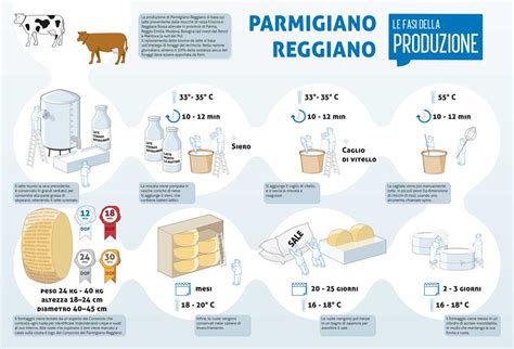 Infografica dettagliata sulle fasi di produzione del Parmigiano Reggiano