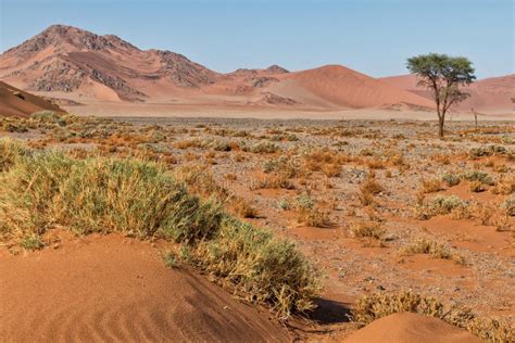 Paesaggio desertico della Namibia con dune rosse